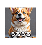 表情いっぱいコーギー（個別スタンプ：5）