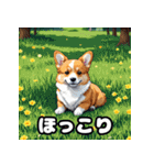 表情いっぱいコーギー（個別スタンプ：7）