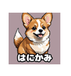 表情いっぱいコーギー（個別スタンプ：8）
