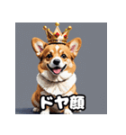 表情いっぱいコーギー（個別スタンプ：14）