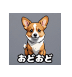 表情いっぱいコーギー（個別スタンプ：16）