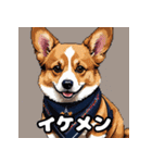 表情いっぱいコーギー（個別スタンプ：17）