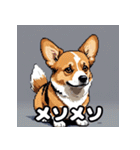表情いっぱいコーギー（個別スタンプ：19）
