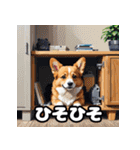 表情いっぱいコーギー（個別スタンプ：23）
