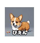 表情いっぱいコーギー（個別スタンプ：24）