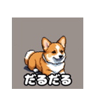 表情いっぱいコーギー（個別スタンプ：28）