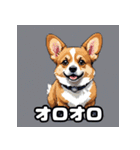 表情いっぱいコーギー（個別スタンプ：31）