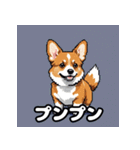 表情いっぱいコーギー（個別スタンプ：36）