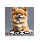 ポメラニアン百面相スタンプ（個別スタンプ：2）