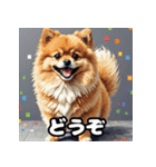 ポメラニアン百面相スタンプ（個別スタンプ：12）
