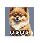 ポメラニアン百面相スタンプ（個別スタンプ：16）