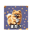 ポメラニアン百面相スタンプ（個別スタンプ：17）