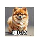 ポメラニアン百面相スタンプ（個別スタンプ：19）