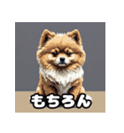 ポメラニアン百面相スタンプ（個別スタンプ：26）