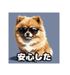 ポメラニアン百面相スタンプ（個別スタンプ：32）