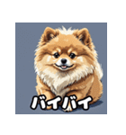 ポメラニアン百面相スタンプ（個別スタンプ：34）