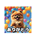 ポメラニアン百面相スタンプ（個別スタンプ：37）