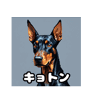 ドーベルマン表情40スタンプ（個別スタンプ：10）