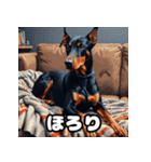 ドーベルマン表情40スタンプ（個別スタンプ：23）