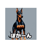ドーベルマン表情40スタンプ（個別スタンプ：30）