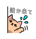 チーム戦に使える♪餅つき猫スタンプ（個別スタンプ：12）