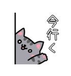 チーム戦に使える♪餅つき猫スタンプ（個別スタンプ：13）
