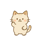 ぽっちゃり猫の感情スタンプ（個別スタンプ：1）