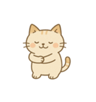 ぽっちゃり猫の感情スタンプ（個別スタンプ：5）