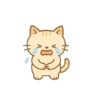 ぽっちゃり猫の感情スタンプ（個別スタンプ：15）