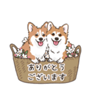 ミララム姉妹 今日も自由です（個別スタンプ：3）