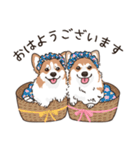 ミララム姉妹 今日も自由です（個別スタンプ：5）