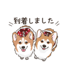 ミララム姉妹 今日も自由です（個別スタンプ：20）