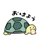 リクガメのかめさん（個別スタンプ：1）