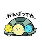 リクガメのかめさん（個別スタンプ：4）