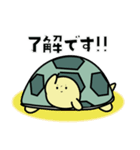 リクガメのかめさん（個別スタンプ：6）