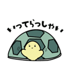 リクガメのかめさん（個別スタンプ：8）