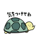 リクガメのかめさん（個別スタンプ：9）