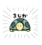 リクガメのかめさん（個別スタンプ：10）