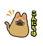 毎日使える着ぐるみネコまろんとごまと仲間（個別スタンプ：1）