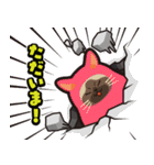 毎日使える着ぐるみネコまろんとごまと仲間（個別スタンプ：4）