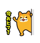 毎日使える着ぐるみネコまろんとごまと仲間（個別スタンプ：5）
