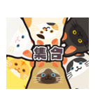 毎日使える着ぐるみネコまろんとごまと仲間（個別スタンプ：9）