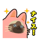 毎日使える着ぐるみネコまろんとごまと仲間（個別スタンプ：12）