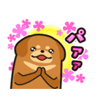 毎日使える着ぐるみネコまろんとごまと仲間（個別スタンプ：31）