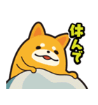 毎日使える着ぐるみネコまろんとごまと仲間（個別スタンプ：33）