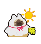 毎日使える着ぐるみネコまろんとごまと仲間（個別スタンプ：35）