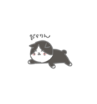 のボル猫 その7 ～登ってないです～（個別スタンプ：21）
