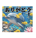 飛び出す★夏を感じる・夏の涼しい海・挨拶（個別スタンプ：4）
