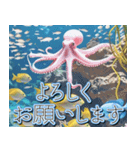 飛び出す★夏を感じる・夏の涼しい海・挨拶（個別スタンプ：5）