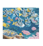 飛び出す★夏を感じる・夏の涼しい海・挨拶（個別スタンプ：8）